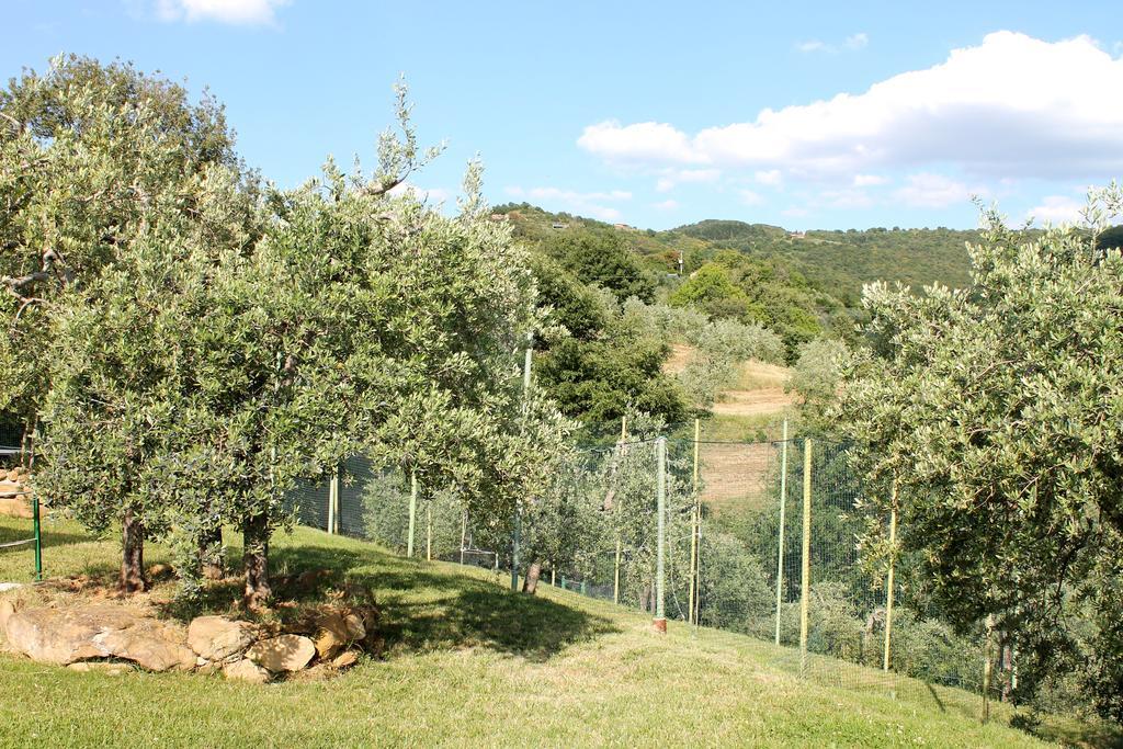 Agriturismo Malagronda Ravigliano Extérieur photo